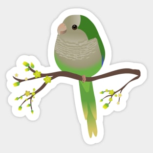 Cute egg shaped quaker parrot or monk parakeet Sticker
